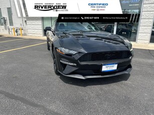 Used 2021 Ford Mustang EcoBoost ONE OWNER SPORTY COUPE REAR VIEW CAMERA TOUCHSCREEN DISPLAY for Sale in Wallaceburg, Ontario