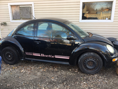 2002. Beetle