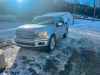 2019 f150 limited for sale
