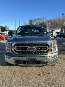 New 2023 Ford F-150 XLT for Sale in Huntsville, Ontario