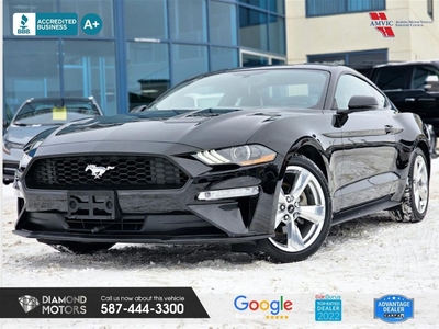 Used 2019 Ford Mustang EcoBoost Premium Coupe for Sale in Edmonton, Alberta