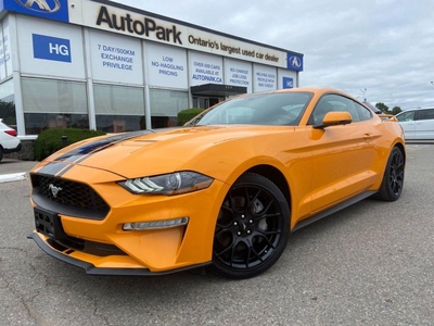 Used 2019 Ford Mustang EcoBoost Premium for Sale in Brampton, Ontario