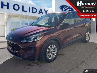 Used 2021 Ford Escape SE for Sale in Peterborough, Ontario