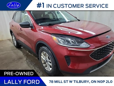 Used 2022 Ford Escape SE, Rear Camera, Ford Pass, Heated Seat! for Sale in Tilbury, Ontario