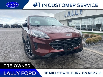Used 2021 Ford Escape SE, One owner, Local Trade!! for Sale in Tilbury, Ontario