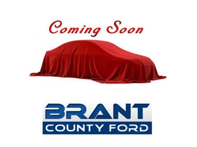 Used 2018 Ford EcoSport Titanium 4WD for Sale in Brantford, Ontario