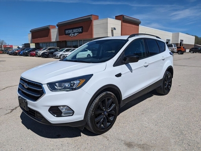 Used 2018 Ford Escape SE for Sale in Steinbach, Manitoba