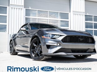 Used Ford Mustang 2019 for sale in Rimouski, Quebec