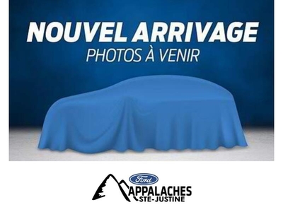 Used Ford Escape 2017 for sale in Sainte-Justine, Quebec