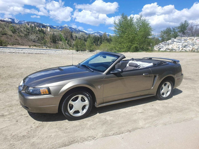 2002 Ford Mustang Convertible *MINT / 128K KM*