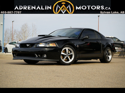 2003 Ford Mustang Premium Mach 1