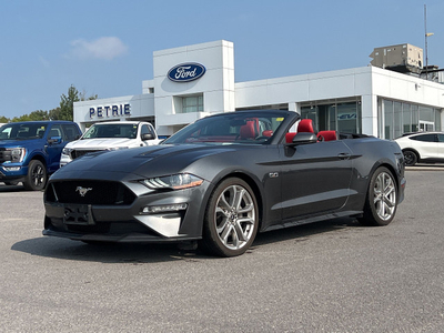2019 Ford Mustang Gt Premium