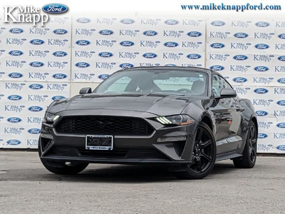 2020 Ford Mustang EcoBoost Fastback - Aluminum Wheels