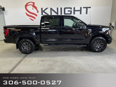 2022 Ford F-150 Tremor with B&O Unleashed Sound System