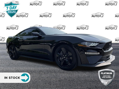 2022 Ford Mustang GT BLACK ACCENT PACKAGE