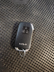 2022 Kia carnival key fob, Matts and middle row center seat