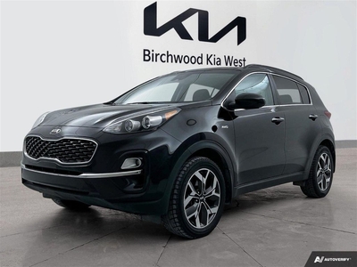 Used 2020 Kia Sportage EX Panoroof Carplay Wireless Charger for Sale in Winnipeg, Manitoba