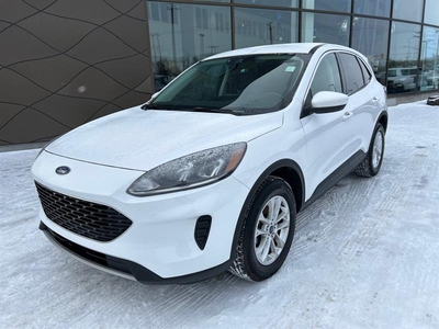 Used Ford Escape 2021 for sale in Winnipeg, Manitoba