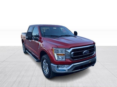 Used Ford F-150 2023 for sale in Saint-Constant, Quebec