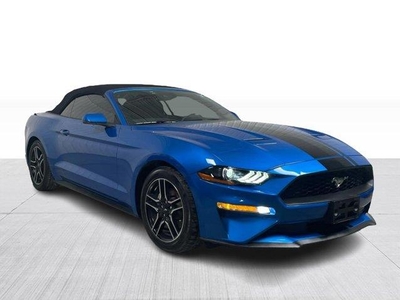 Used Ford Mustang 2019 for sale in Saint-Hubert, Quebec