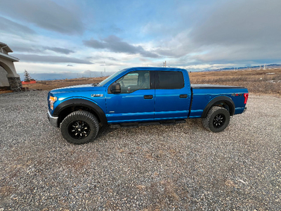 2015 Ford 150 eco boost
