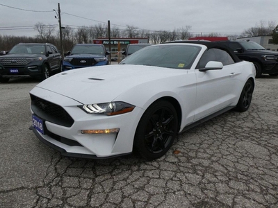 Used 2018 Ford Mustang EcoBoost for Sale in Essex, Ontario