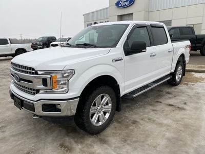 Used 2019 Ford F-150 XLT 4WD SUPERCREW 5.5' BOX for Sale in Elie, Manitoba