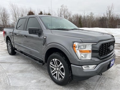 Used 2021 Ford F-150 XL - - Air - Rear Air - $349 B/W for Sale in Timmins, Ontario