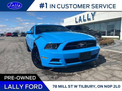 Used 2013 Ford Mustang V6, Low Km’s, Mint, Mint!! for Sale in Tilbury, Ontario