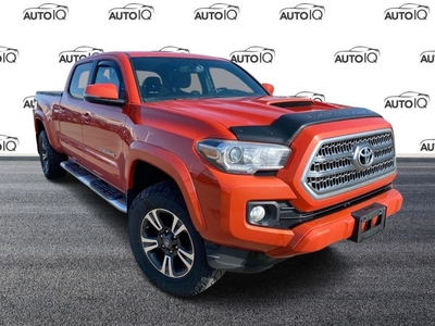 Used 2016 Toyota Tacoma SR5 for Sale in Grimsby, Ontario