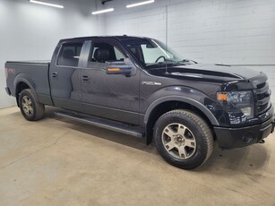 Used 2013 Ford F-150 FX4 for Sale in Guelph, Ontario
