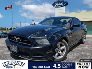 Used 2014 Ford Mustang V6 Premium LEATHER MANUAL POWER SEATS for Sale in Waterloo, Ontario
