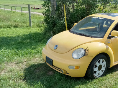2000 VW Bug