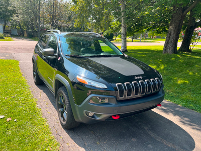 2018 Jeep Cherokee Trailhawk Leather Plus V6 4x4 $29,500