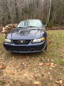 2002 Ford Mustang Basic
