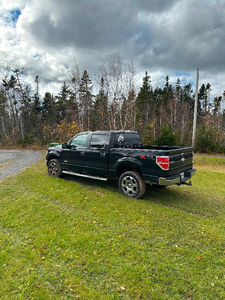 Ford F150 EcoBoost Extended cab