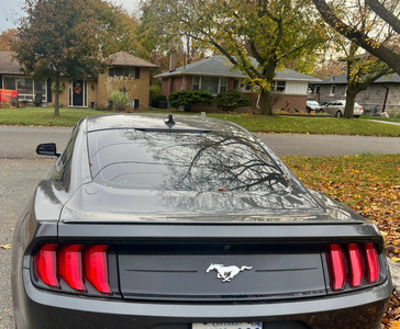 Ford Mustang 2020 Ecoboost