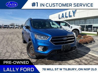 Used 2018 Ford Escape Titanium, Moonroof, Nav, AWD!! for Sale in Tilbury, Ontario