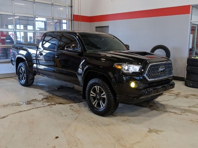 Used 2019 Toyota Tacoma for Sale in Red Deer, Alberta