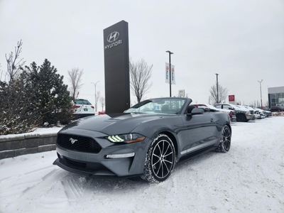 Used 2022 Ford Mustang for Sale in Edmonton, Alberta