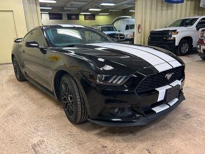 Used 2017 Ford Mustang EcoBoost Premium for Sale in Windsor, Ontario