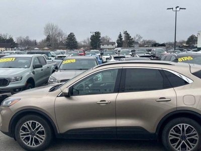 Used 2020 Ford Escape SEL AWD, 2.0L, Leather, Nav, Adaptive Cruise, Heated Steering + Seats, CarPlay + Android & More! for Sale in Guelph, Ontario