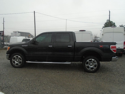 Used 2010 Ford F-150 4WD SuperCrew 145 XLT for Sale in Fenwick, Ontario