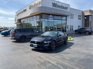 Used 2020 Ford Mustang for Sale in Windsor, Ontario