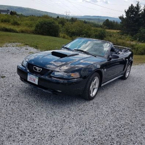 2004 Mustang GT Anniversary Edition