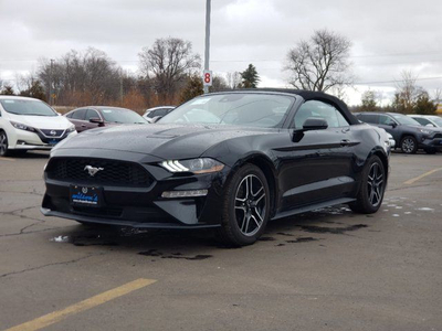 2023 Ford Mustang EcoBoost Premium, Leatherette, Cooled +