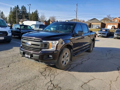 Used 2019 Ford F-150 XLT for Sale in Peterborough, Ontario