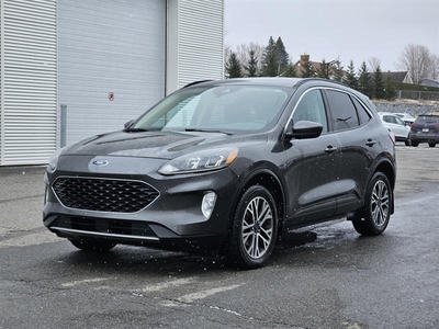 Used Ford Escape 2020 for sale in Victoriaville, Quebec