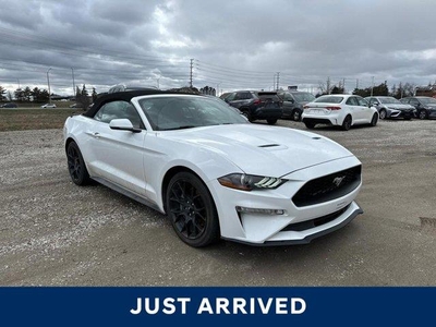 Used Ford Mustang 2019 for sale in Mississauga, Ontario