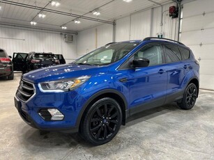 Used 2018 Ford Escape SE for Sale in Winnipeg, Manitoba